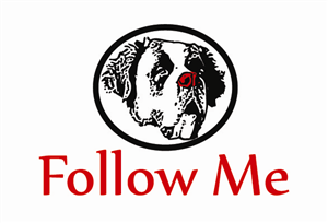 Design de Logo par wmcool pour ce projet | Design : #5117994