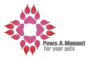 Logo Design by Angler Designs
