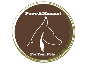 Logo Design by BC Designs