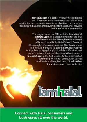 Brochure Design by barinix