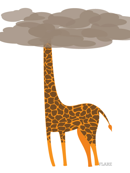 Diseño de Camiseta por Flare para Coromandel | Diseño #1436527