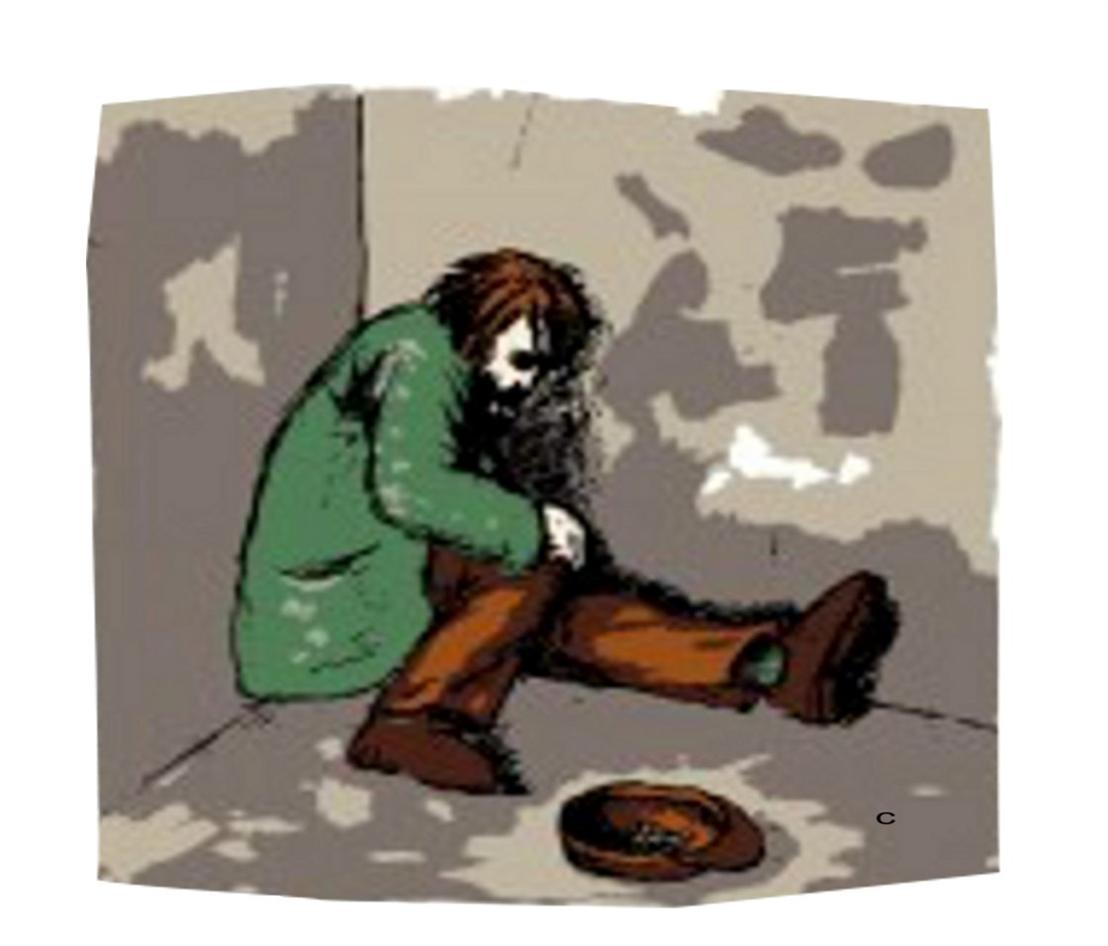 Diseño de Camiseta por bear6mm696 para Coromandel | Diseño #1433675