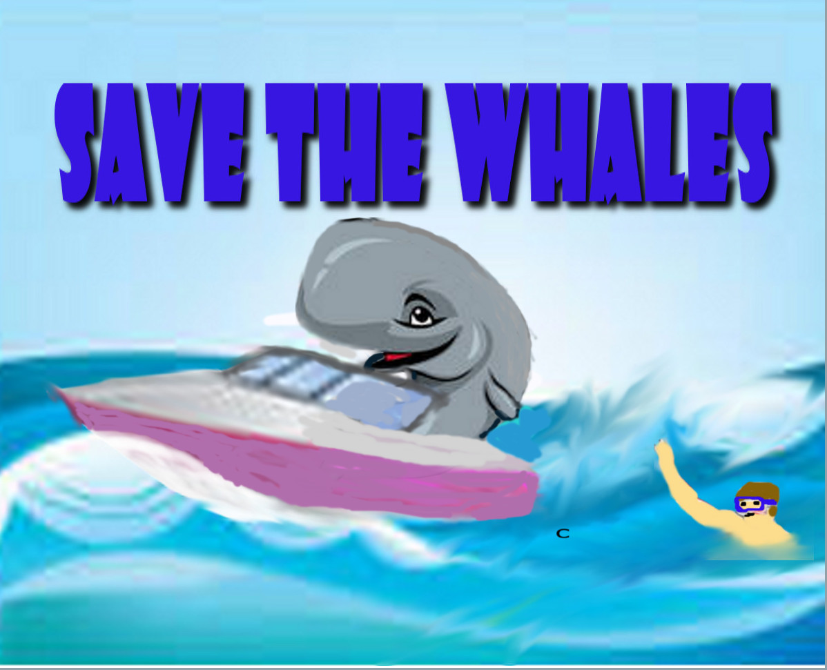 T-shirt Design by bear6mm696 for Coromandel | Design #1436867