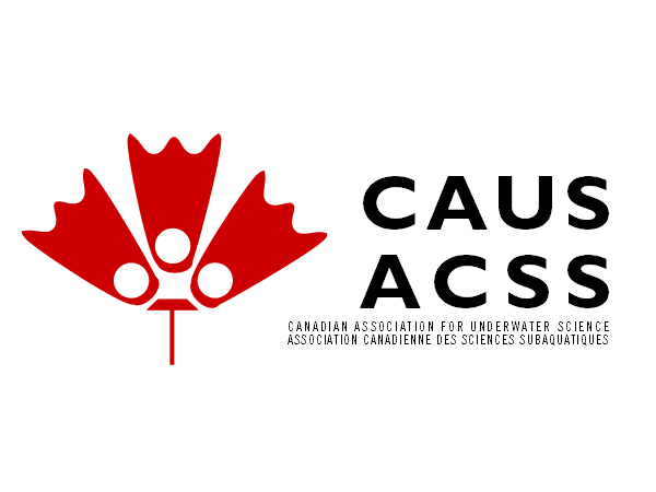 Logo Design by now:here for this project | Design #257622