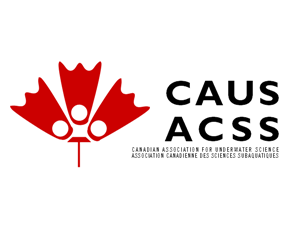 Logo Design by now:here for this project | Design: #257622