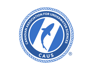 Logo Design by Summit Creative for this project | Design: #256543