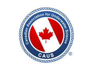 Logo Design by Summit Creative for this project | Design: #256611