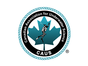 Logo Design by Summit Creative for this project | Design: #259063