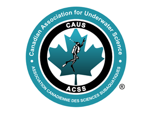 Logo Design by Summit Creative for this project | Design: #261302