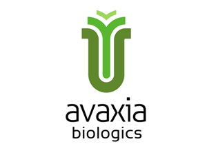 Logo Design by zook