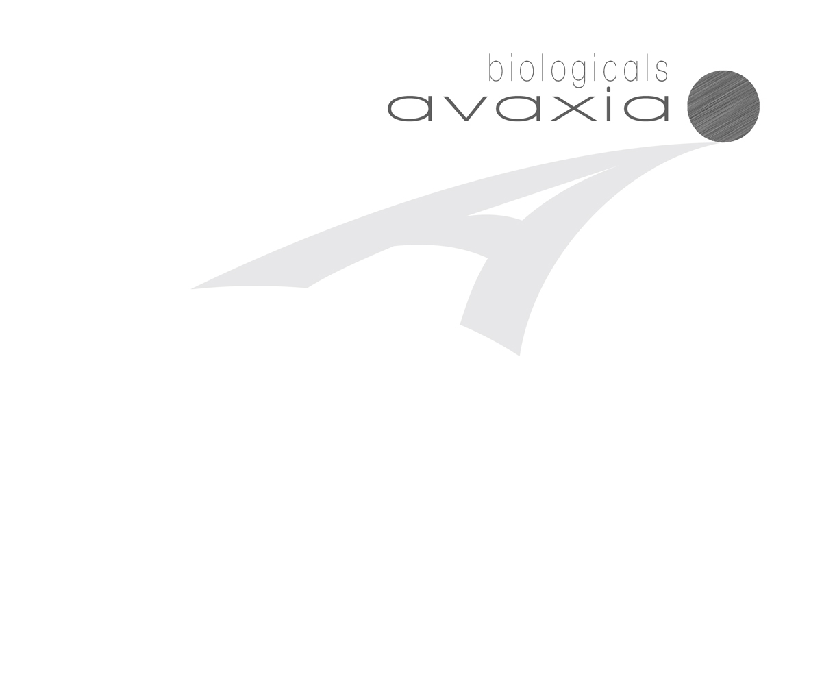 Logo Design by WholeBranding® for this project | Design #1469896