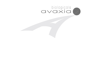 Logo Design by WholeBranding® for this project | Design: #1469896