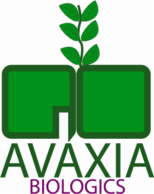 Logo Design by SMSBordoloi