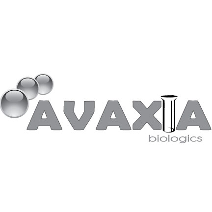 Logo Design by Artisan design guy for this project | Design #1450105
