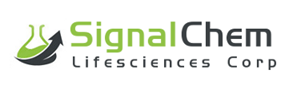 Logo Design by Modine Designs