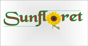 Logo Design by softmedia