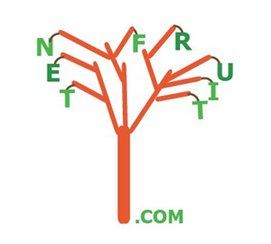 Diseño de Logo por D.A. Hennessy para Nuevica | Diseño: #1450642
