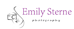 Logo Design by Modine Designs