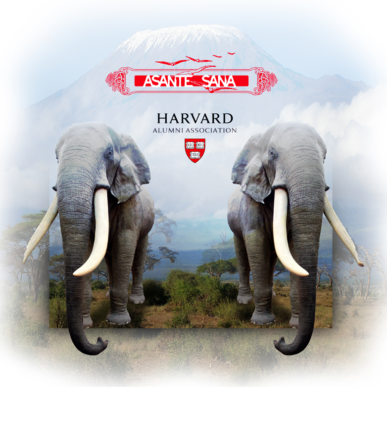 T-shirt Design by Maki for Aquamarine Capital | Design #1482259