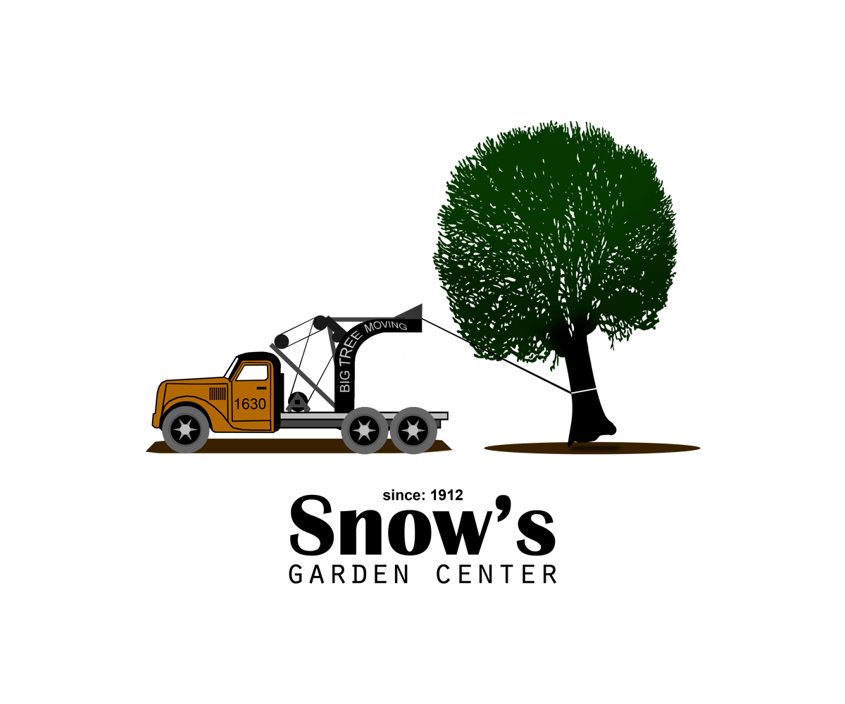 Logo Design by zoxo69 for Snowknows Inc | Design #8475848