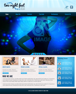 Wordpress Design by Expert Designer