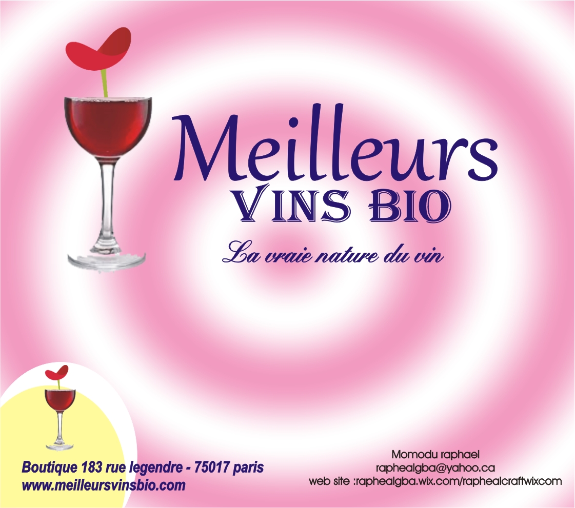 Graphic Design by momodu ojemen rapheal gba for meilleursvinsbio.com | Design #1641747