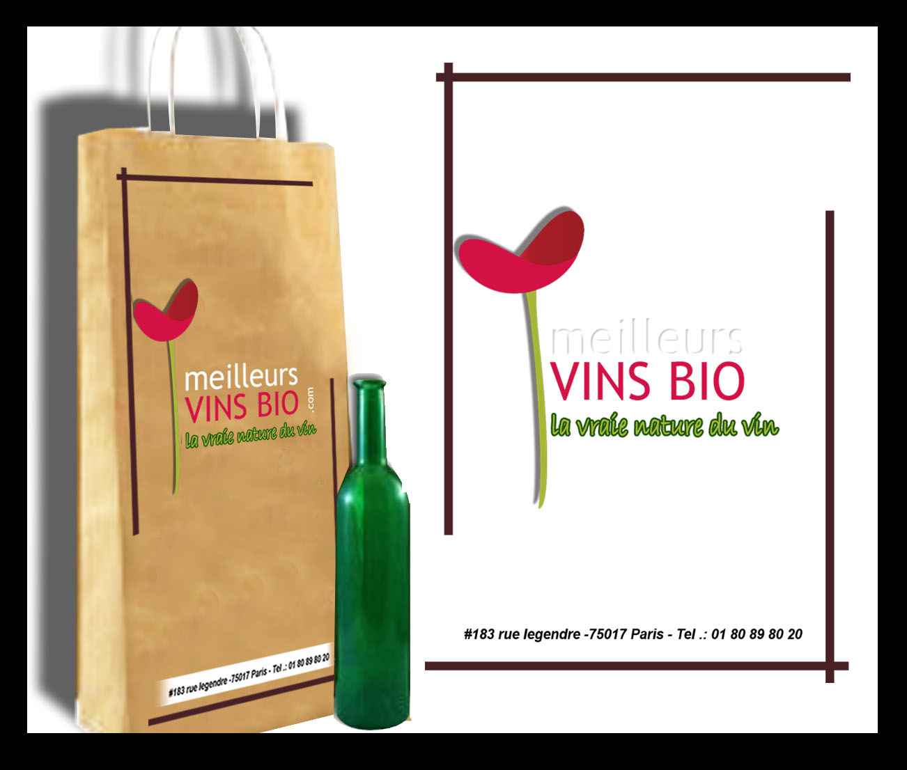 Graphic Design by rico for meilleursvinsbio.com | Design #1439683