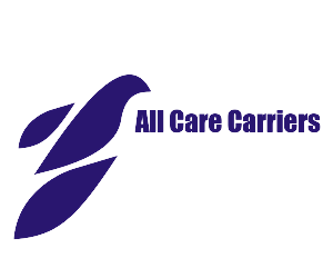 Logo Design by Steval