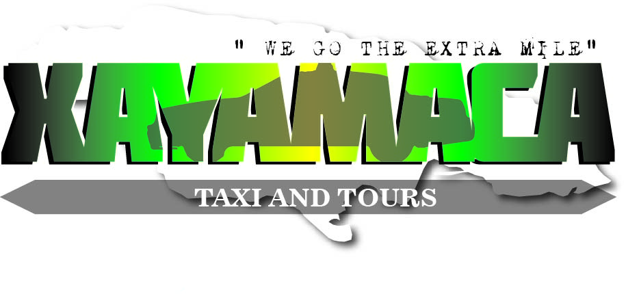Logo Design by David Mendez Fernandez for this project | Design #5131726