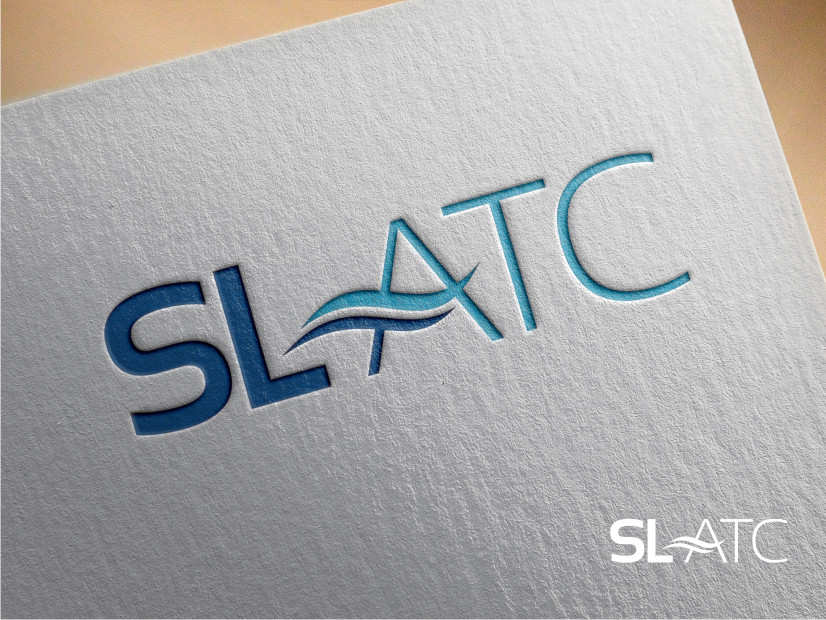 Logo Design by Atvento Graphics for dev-sky.net | Design #5152733