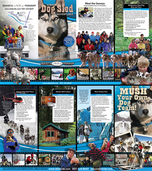 Brochure Design by Josh GX