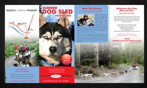 Brochure Design by Sbss for IdidaRide Sled Dog Tours, Inc. | Design: #1443046