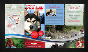 Brochure Design by Sbss for IdidaRide Sled Dog Tours, Inc. | Design: #1443430