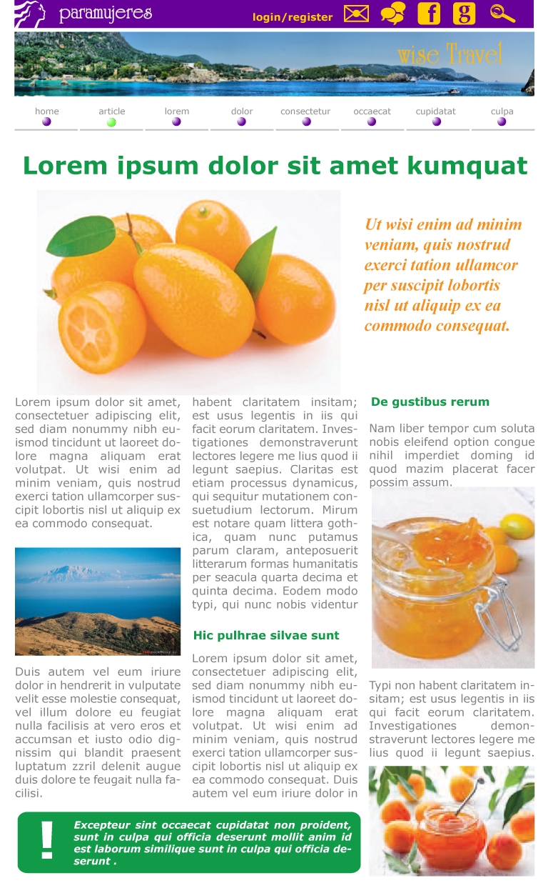 Web Design by sicapavlescu for Beleriad S. de R.L. de C.V. | Design #1796204