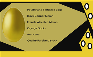 Business Card Design by shappdesign999 for this project | Design: #5140337