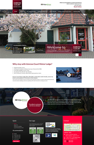 Web Design by the-lion-king for Web Genius | Design: #5136470