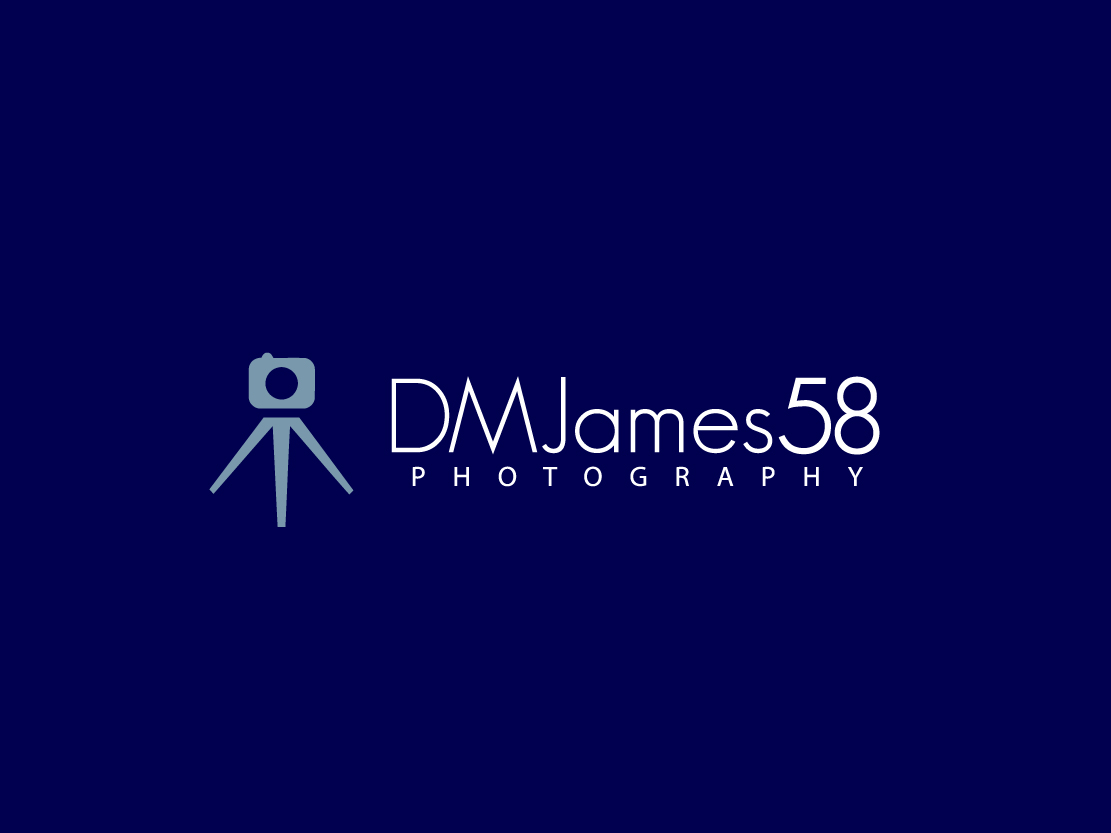 Logo Design by Colorflix™ for this project | Design #5135830