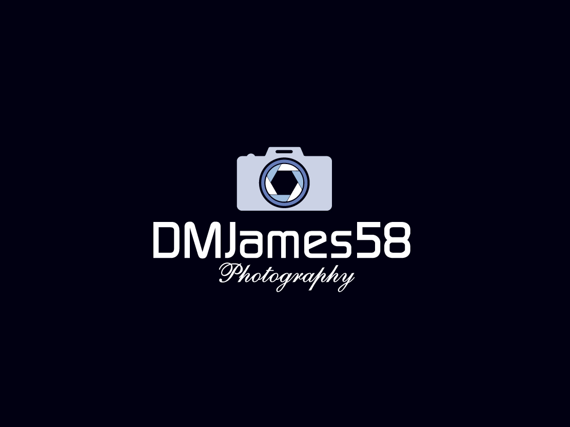 Logo Design by Colorflix™ for this project | Design #5207300