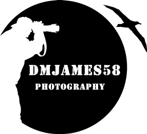 Logo Design by GaniixTechnolab Pvt Ltd for this project | Design #5134867