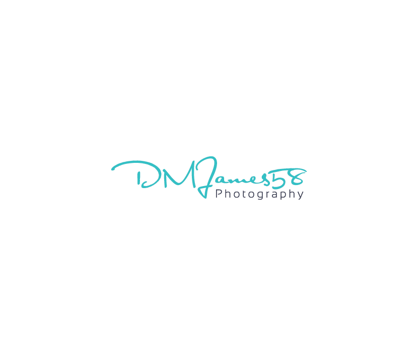 Logo Design by ak99 for this project | Design #5136916