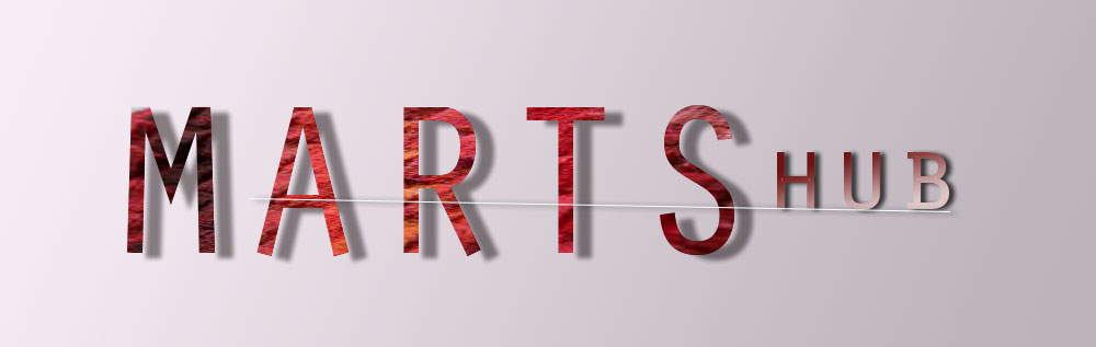 Logo Design by Cindy Luz for MediaMask | Design #5136248