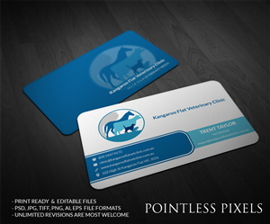 Design de Carte de Visite par Pointless Pixels India pour ce projet | Design : #5152273