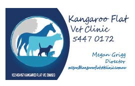 Business Card Design by MissyDesigns