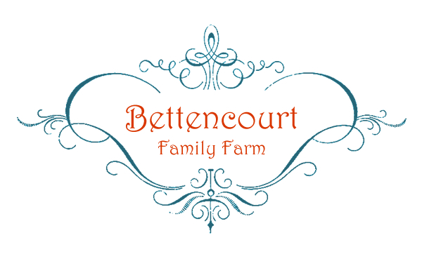 Logo Design by Blake Zachary for this project | Design #5239501