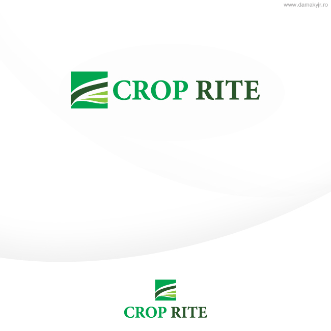 Design de Logo par damakyjr pour ce projet | Design #285335