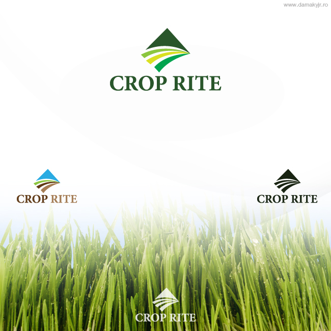 Design de Logo par damakyjr pour ce projet | Design #285346