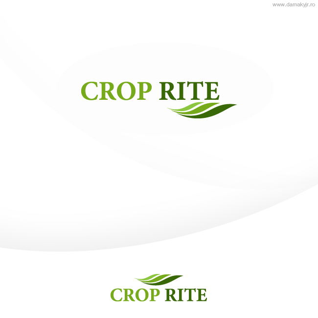 Design de Logo par damakyjr pour ce projet | Design #285358