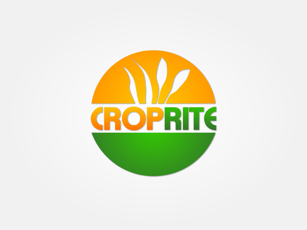 Design de Logo par REDcrackers.com pour ce projet | Design #260141