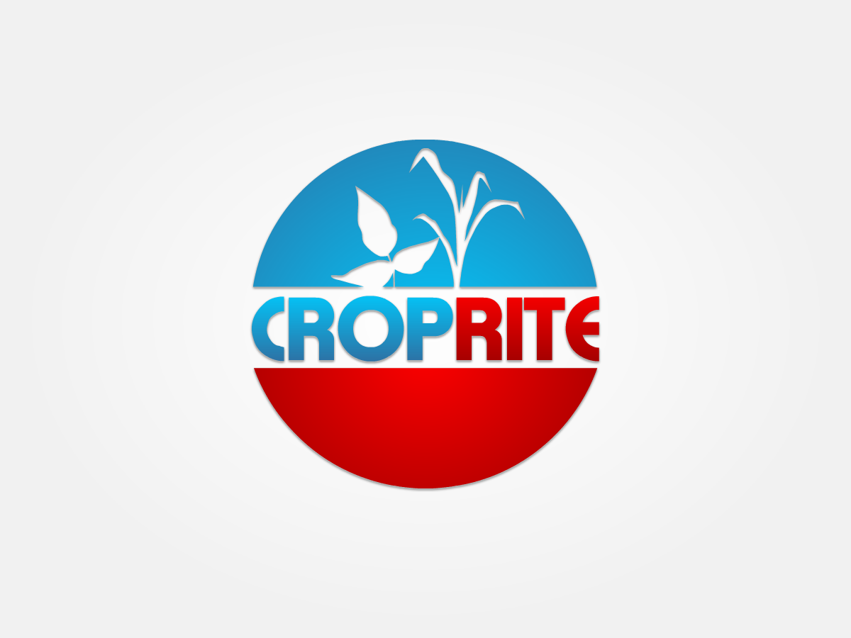 Design de Logo par REDcrackers.com pour ce projet | Design #260249