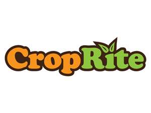 Logo Design by Treehouse Collective